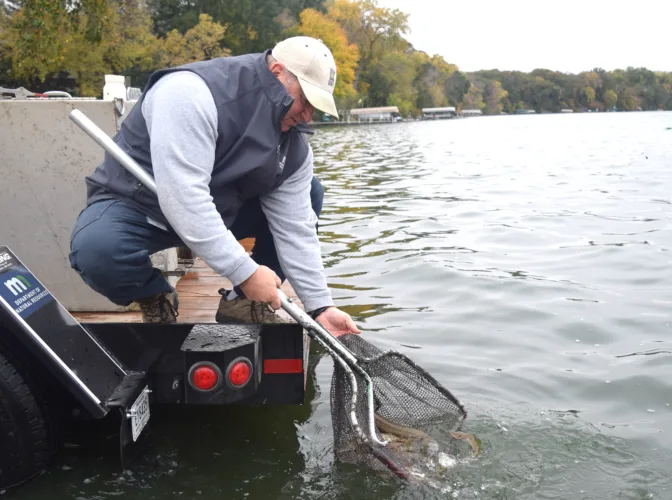 DNR completes second round of stocking